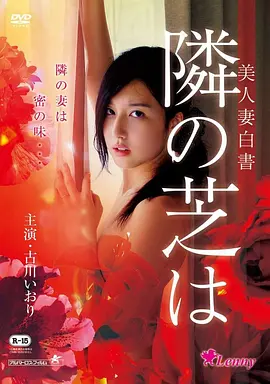 冒险传记电影夜航西飞海报